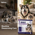 7 Way Dewormer for Dogs and Cats, Praziquantel & Pyrantel Pamoate Tablets