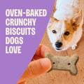 Wellness Old Mother Hubbard Classic P-Nuttier Dog Biscuits, Natural Training Treats, Peanut Butter Flavor, Large Size, 6