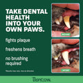 TropiClean Clean Teeth Gel for Dogs | Dog Dental Care | Dog Toothpaste | Breath Freshener | Easy Teeth Cleaning | Made in the USA | 2 oz