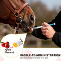 6 Pack Equine Paste 1.87% – 6.08g Each Apple Flavored Oral for Horse