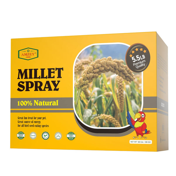 Amzey 5.5LB Spray Millet for Parakeets, 100% Natural Sun-Dried Healthy Bird Treat, Non-GMO High Protein Fresh Millet Spray for Parrots, Cockatiel, Finches & Lovebirds