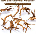 kathson 4Pcs Aquarium Driftwood, 4"-7" Small Natural Wood Driftwood Tree Fish Tank Decoration Assorted Branches Ornament