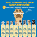 Dog Boots for Large Dogs, Medium Dog Boots & Paw Protectors for Hardwood Floors, Outdoor Dog Booties for Hot Pavement Wi