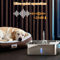 SANXUO Dog Water Fountion for Large Dogs,15L/4 Gal Stainless Steel Automatic Pet Water Dispenser,Ultra Quiet Dog Fountain Water Bowl with Water Level Window & LED Light, Include 1Set Filter