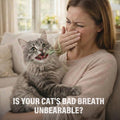Plaque Powder for Cats, Dental Care Powder with Natural Extracts