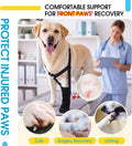 ROZKITCH Dog Shoe for Bandages, Boot for Protecting Paw Injuries