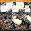 ReptiChip Reptile Bedding Loose Coconut Chip 12 Quart Coco Husk Substrate Mulch for Snake Habitat, Ball Python Terrarium