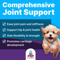Freedom Joint Drops for Dogs with Hyaluronic Acid, MSM, Glucosamine, & Chondroitin, All Natural Liquid Joint Supplement 