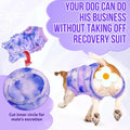 Lukovee Recovery Suit for Dogs, Spay Neuter Surgery Suit, Female Male, S
