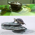 kathson Turtle Basking Platform,Tortoise Dock Floating Resting Terrace Rock