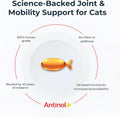 Antinol Plus, Mobility, Hip, and Joint Supplement for Cats, Green-Lipped Mussels and Krill Oil - Cat Joint Supplement, 30 Soft Gels