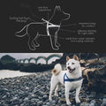 EzyDog Quick Fit Dog Harness, Soft Neoprene Padding - Medium, Black