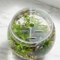 Round Acrylic Fish Tank Lid: 5.12" Clear Aquarium Lid Cover - Round Tank Protective Cover - Replacement Accessory for Fi