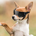 Dog Goggles Small Breeds, Anti-UV Small Dog Sunglasses for Outdoor Driving Cycling Riding, Windproof Sandproof Dig Eye P