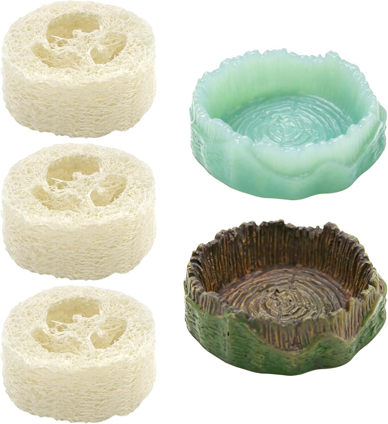 5Pcs Dubia Cockroach Water Basin Loofah & Resin Food Bowl Container Set, Comfortable Habitat for Roaches Live Isopods Sp