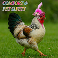 Shinylin 12 Pcs Chicken Clothes, Tutu Skirts and Hats, Classic