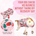 Nasjac Dog Surgery Recovery Suit - Zipper on Recovery Onesie for Female Dog