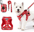 PAWCHIE Christmas Dog Harness and Leash Set, Step in No Pull Soft Pet Harness, Reflective Adjustable Puppy Vest for Medi