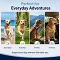 Dog is Multivitamin for Itch Relief, Dog Daily Wellness Chews