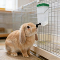 4Pack Rabbit Water Bottle for Cage, 32oz Small Animal Water Dispenser Water Bottle for Small Pet/Bunny/Ferret/Hamster/Gu