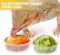 ANCKNE 200 pcs 0.5oz Crested Gecko Food and Water Feeding Cups | Reptile Feeder Bowls | for Lizard and Other Small Pet L