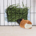Hypeety Rabbit Hay Feeder Automatic Hay Rack for Guinea Pigs, Blue