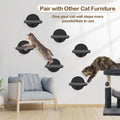 Cat Wall Shelves Furniture Set of 6, Wooden Cat Steps for with Scratching Pad, Sturdy Floating Climber Ladder Stairs, Ca
