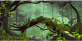 72x24 inches Reptile Habitat Background Foggy Forest Terrarium Backdrop