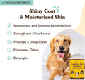 Natural Dog Company Oatmeal Shampoo & Sensitive Skin Conditioner Bundle for Dogs – Anti-Itch, Hypoallergenic Oatmeal For