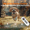 Shock Collar for Small Dogs, Ultra-Light & Slim Dog Training Collar with Remote, Tailored for Small Dogs 5-30lbs & Mediu