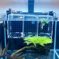 Fish Breeding Box, Acrylic Isolation Box Separator for Aquarium Hatchery Incubator with Suction Cups for Baby Fish Shrim