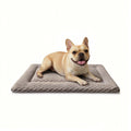 Dog Bed Mat, Dual-Sided Dog Crate Bed Mat - Ultra Soft & Machine Washable Kennel Pad for Small Dogs, All-Season Comfort Pet Bed for Crates, Travel, and Home, Light Brown, 24 x 16 Inch