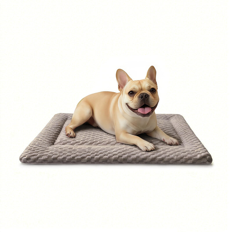 Dog Bed Mat, Dual-Sided Dog Crate Bed Mat - Ultra Soft & Machine Washable Kennel Pad for Small Dogs, All-Season Comfort Pet Bed for Crates, Travel, and Home, Light Brown, 24 x 16 Inch