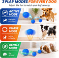 Smart Interactive Dog Toy to Keep Them Busy, Automatic Moving, E-TPU Material, 3 Interactive Modes, IPX7 Waterproof, USB