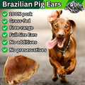 Exquisite Pets 35-Pack of Roasted Pig Ears for Dogs-Bulk All Natural, Brazilian Single-Ingredient Chews! Safe & Digestible-Full-Size Ears! Cleans Teeth & Gums. Aggressive Chewers. Treats for Dogs