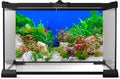 Aquarium Background Green Aquatic Plant Stone River Bed and Lake Fish Tank Background Decor Underwater Grass Leaves with