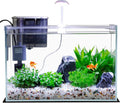 Vimvins 3 Gallon Glass Small Fish Tank, Betta Fish Tank Starter Kit with Filter, Lights,Lid.