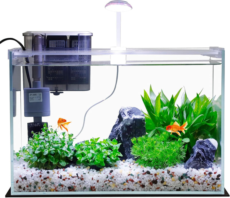 Vimvins 3 Gallon Glass Small Fish Tank, Betta Fish Tank Starter Kit with Filter, Lights,Lid.