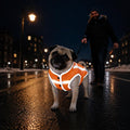Reflective Dog Hunting Vest, High-Visibility Blaze Orange Dog Jacket, XL