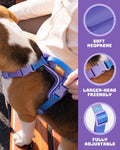 DF Freedom No Pull Martingale Dog Harness, Gentle Control for No Choking, Front Clip Harness with Reflective, Adjustable