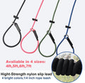 Slip Lead Dog Leash for Small & Medium Dogs, 1/4” x 5ft Sturdy Nylon Rope with Spring-Loaded Adjustable Stopper, Easy On/Off Training & Walking Slip Leash (Black, 5ft*1/4")