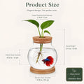 Healifty Desktop Fish Bowl, Glass Hydroponic Planter Tank Kit 5. 1 X 4. 7"