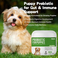 Probiotics for Puppies - 5 Billion CFU Digestive Health Supplement with 9 Strains & Prebiotics - Eases Tummy Upset, Gas 