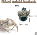 Jumping Spider Hide & Hideaway Made from Real Acorns | Handmade Magnetic Spider Cave, Ideal Habitat Accessory for Small 