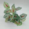 Reptile Plants for Bearded Dragon Tank Accessories, Terrarium Plant Artificial Decor for Snake Cage, Fake Plant for Leop