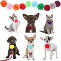 Catcan 20Pcs Dog Flower Collar Accessory, Multi-Color Pet Flower Collars 2 Style Soft Chiffon Dog Bow Tie for Puppy Grooming Charms Accessories