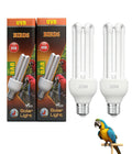 KINGYEENUO 2 Pack E26 UVA UVB Light Bulb for Birds 2.4 UVB 20W Compact Flourescent Lamp for All Kinds Captive Birds, Natural Sunlight Simulation Bird Parrot Light Bulb