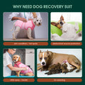 Kuoser Recovery Suit for Dogs, Soft Dog Spay Suit for Female Surgery Recovery, Breathable Dog Neuter Recovery Suit Male, Anti Licking Dog Onesie for Abdominal Wounds Cone Alternatives, Pink S