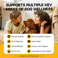 Turkey Tail Mushroom for Dogs 200 Count - Dog Multivitamin & Mushroom Chews