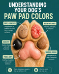 Dog Paw Balm Stick for Dogs & Cats – Lick-Safe Paw & Nose Balm for Dry Cracked Paws – Paw Protector for Hot Pavement & W